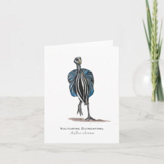 Tarjeta de nota plegada vulturine Guineafowl
