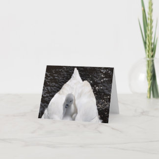 Tarjeta de nota: Pollo del cisne en la parte