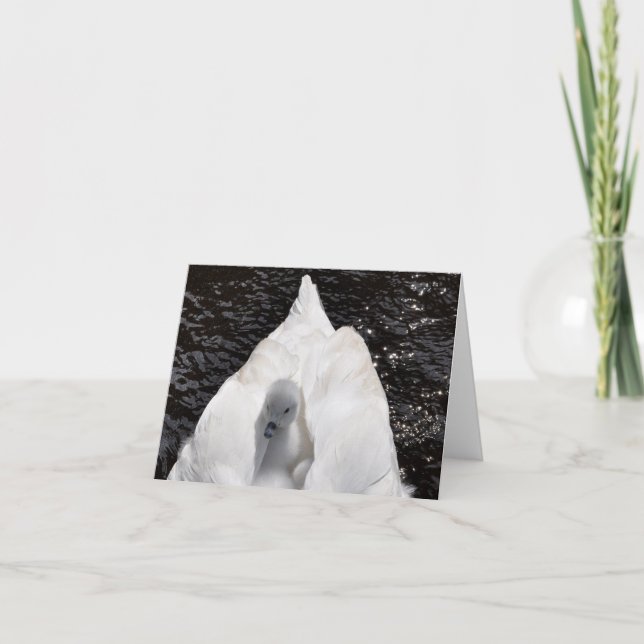 Tarjeta de nota: Pollo del cisne en la parte (Anverso)