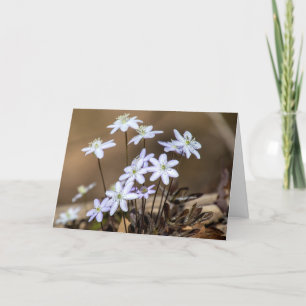 Tarjeta de nota Purple Spring Wildflowers