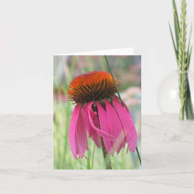 Tarjeta de nota púrpura de Coneflower (Anverso)