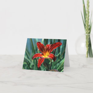 Tarjeta de nota Red Lily