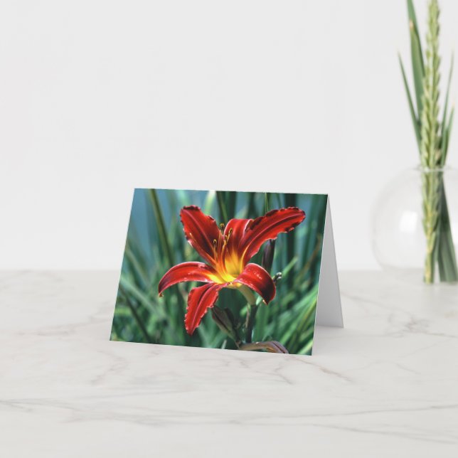 Tarjeta de nota Red Lily (Anverso)