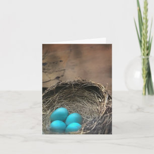 Tarjeta de nota Robin Eggs Blank