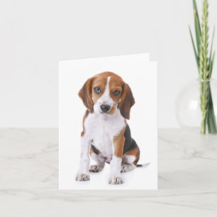 Tarjeta de nota roja en blanco de cachorro de Beag
