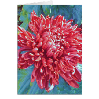 Tarjeta de nota roja gigante del saludo de la flor