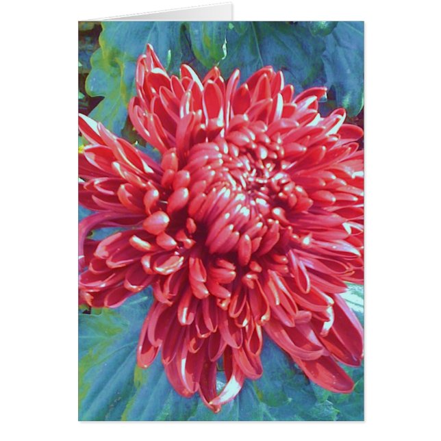 Tarjeta de nota roja gigante del saludo de la flor (Frente)