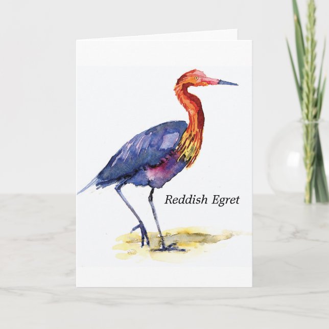 Tarjeta de nota rojiza del Egret (Anverso)