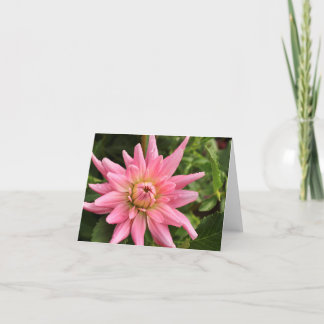 Tarjeta de nota Rosa Dahlia 4x6