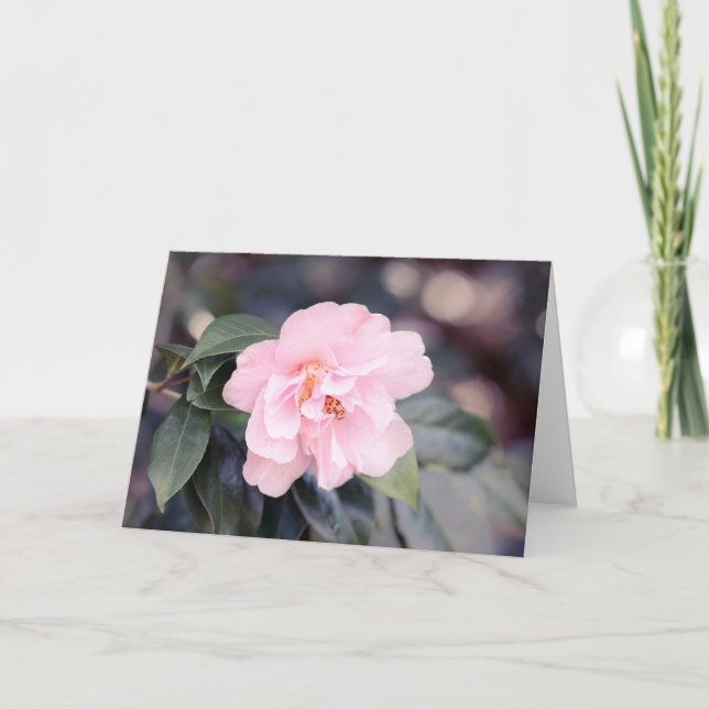 Tarjeta de nota rosa de Camellia Japonica (Anverso)