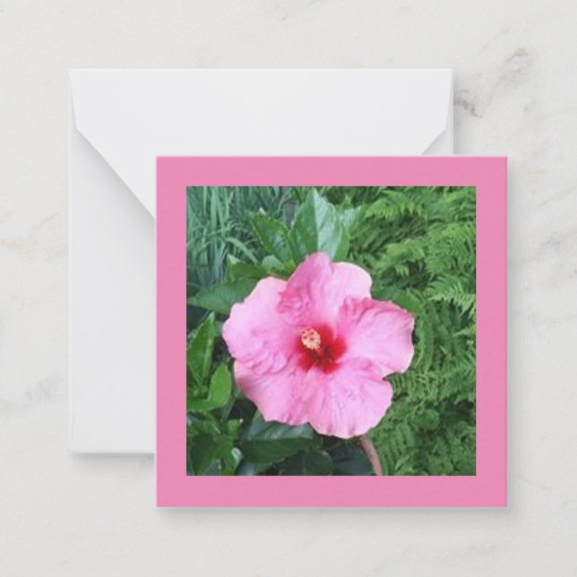 Tarjeta de nota rosa de Hibiscus (Anverso)