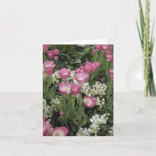 Tarjeta de nota rosa en blanco tulipán