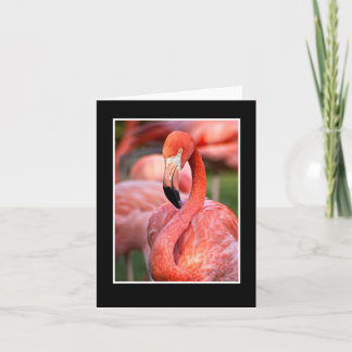Tarjeta de nota rosa Flamingo Blank