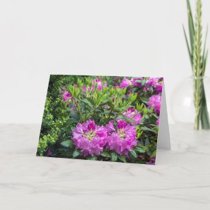 Tarjeta de nota rosa Rhododendron Blank
