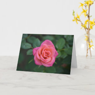 Tarjeta de nota Rosa Rosa Dainty