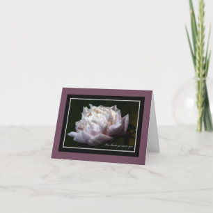 Tarjeta de nota rosada de la condolencia del Peony