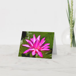 Tarjeta de nota rosada de Waterlily del lirio de