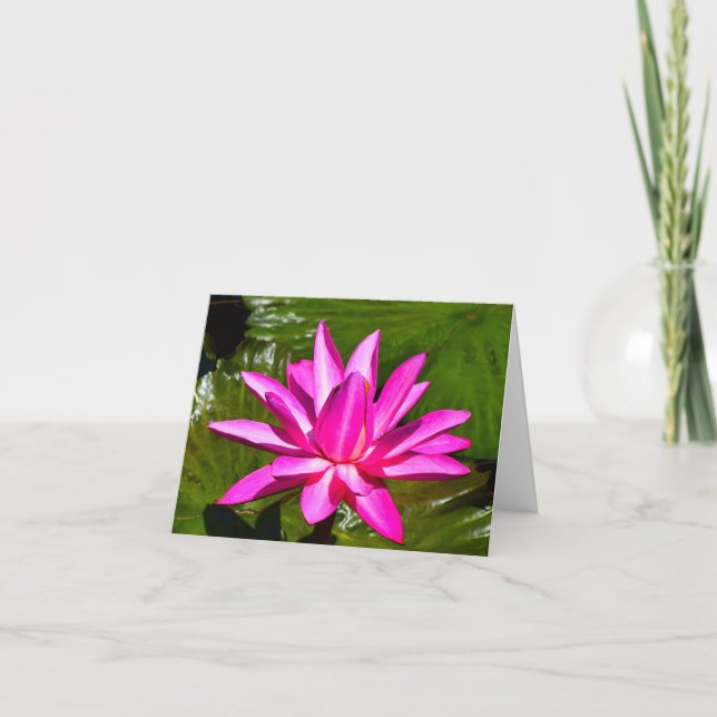 Tarjeta de nota rosada de Waterlily del lirio de (Anverso)