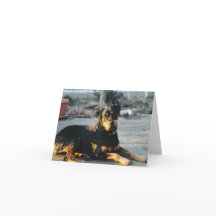 Tarjeta de nota Rottweiler - en blanco