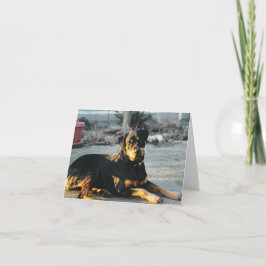 Tarjeta de nota Rottweiler - en blanco