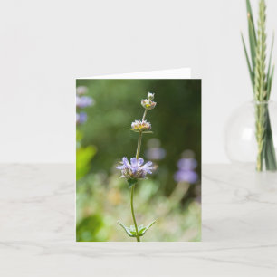 Tarjeta de nota sabia de la flor