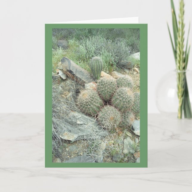Tarjeta de nota Saguaro Swirl Cacti o tarjetas de  (Anverso)