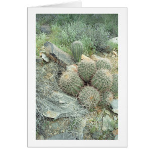 Tarjeta de nota Saguaro Swirl Cacti o tarjetas de 