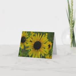 Tarjeta de nota salvaje de los girasoles/tarjeta