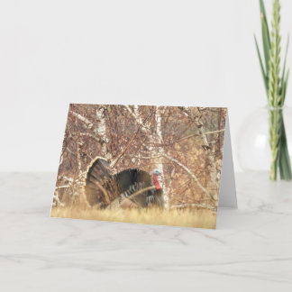 Tarjeta de nota salvaje de Turquía Tom