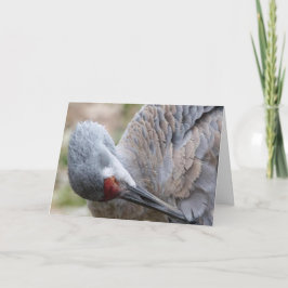 Tarjeta de nota Sandhill Crane Blank