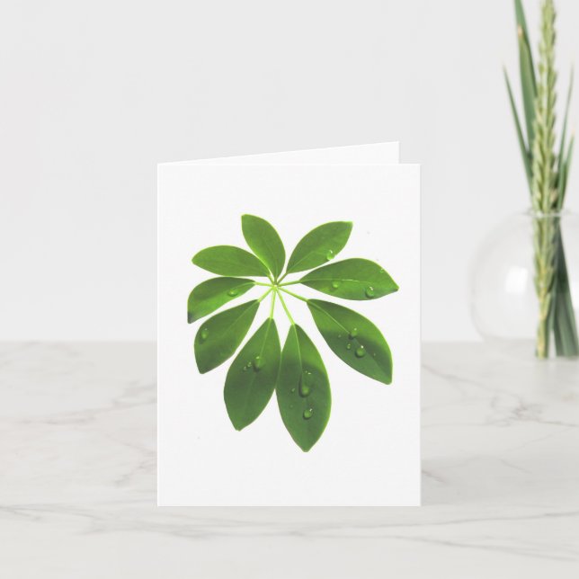 Tarjeta de nota Schefflera (Anverso)