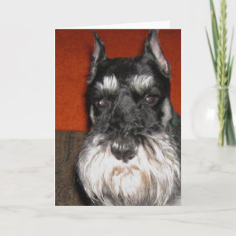 Tarjeta de nota Schnauzer