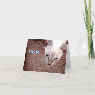 Tarjeta de nota siamesa del gatito "hola "
