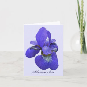 Tarjeta de nota siberiana del iris