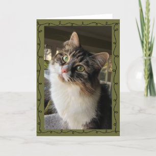 Tarjeta de nota siberiana hermosa