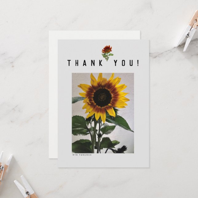 Tarjeta de nota simple de girasoles 81724 (Anverso/Reverso In Situ)