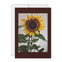 Tarjeta de nota simple de girasoles escrita a mano
