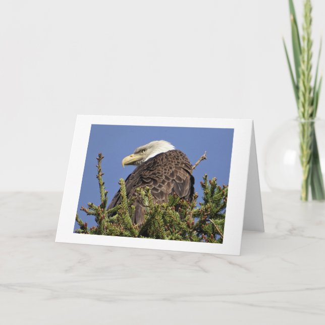 Tarjeta de nota sobre el clima natural (Anverso)