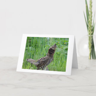 Tarjeta de nota sobre el clima natural