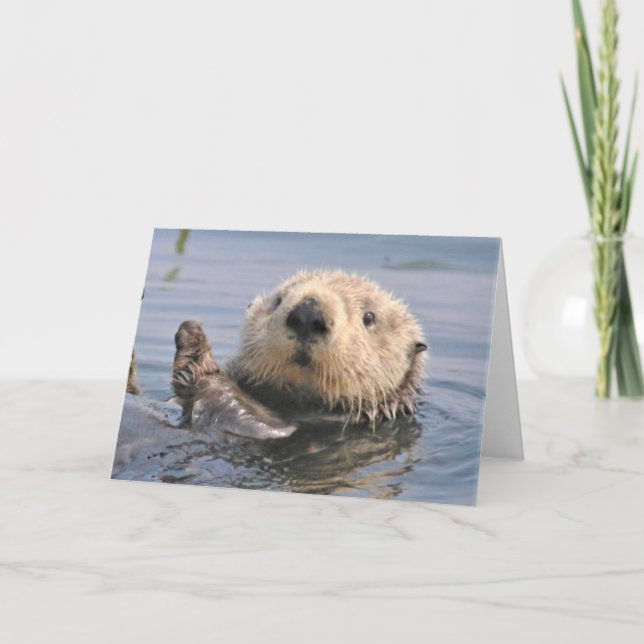 Tarjeta de nota sobre el clima natural (Anverso)