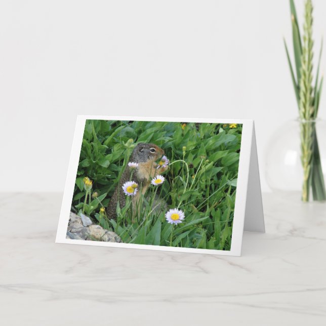 Tarjeta de nota sobre el clima natural (Anverso)