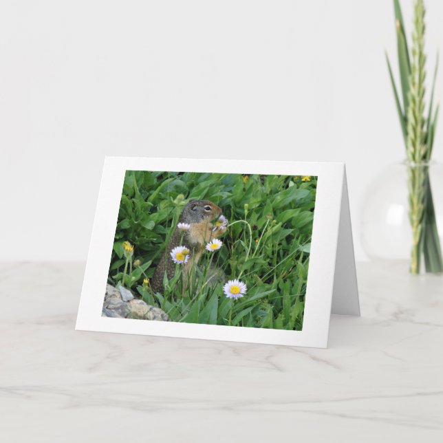 Tarjeta de nota sobre el clima natural (Anverso)