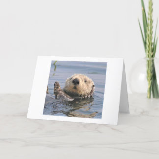 Tarjeta de nota sobre el clima natural