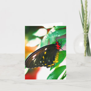 Tarjeta de nota sobre la naturaleza de la mariposa
