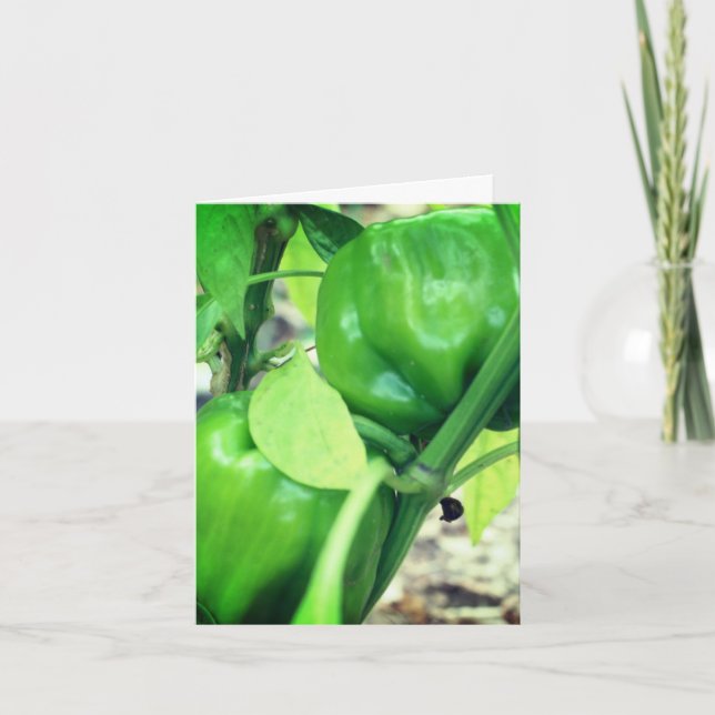 Tarjeta de nota sobre la naturaleza del jardín de  (Anverso)