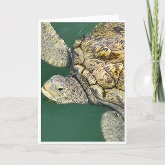 Tarjeta de nota sobre la tortuga del mar verde (Gr