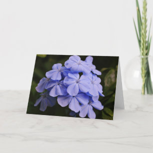 Tarjeta de nota sobre las flores tropicales azules