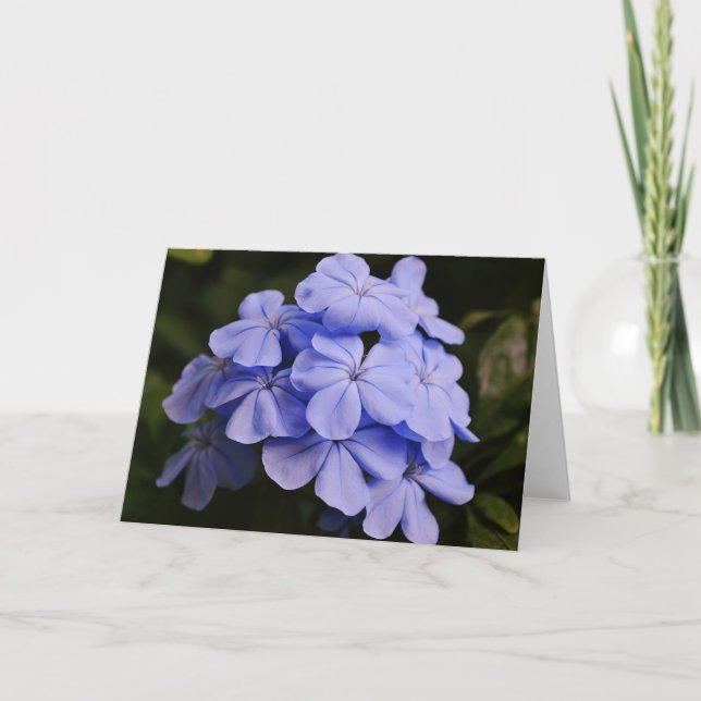 Tarjeta de nota sobre las flores tropicales azules (Anverso)