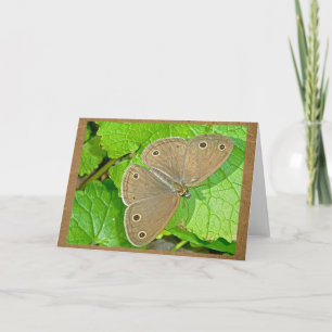 Tarjeta de nota sobre mariposa de Little Wood Saty