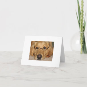 Tarjeta de nota soleada - Resc Sunshine Golden Ret